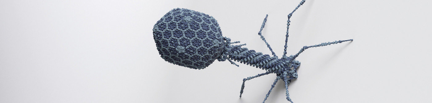 © biolution GmbH © biolution GmbH