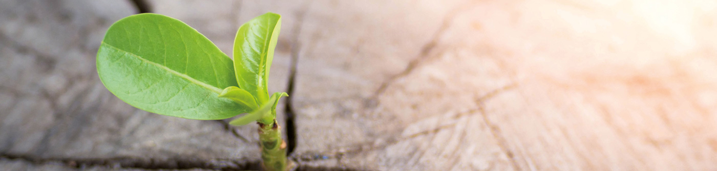 © Donkhuntod/Shutterstock.com © Donkhuntod/Shutterstock.com