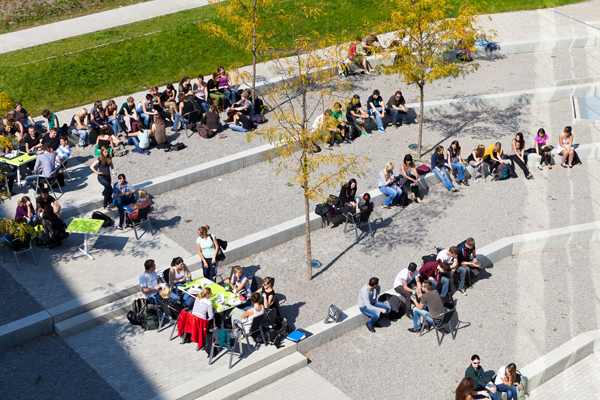 Blick in Garten von oben