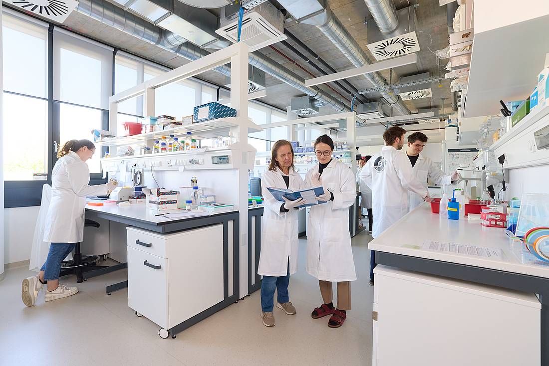 © HCW | Schedl Mehrere Forscher und Forscherinnen bei der Arbeit in einem Biotechnologie-Labor