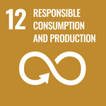 SDG 12 Responsible consumption and production Writing SDG 12 Responsible consumption and production